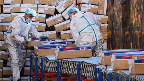 奧密克戎本土確診突破400人, 動態(tài)清零 將如何繼續(xù)